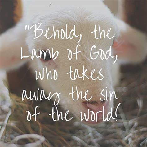 Behold The Lamb Of God Who Takes Away The Sin Of The World John Esv