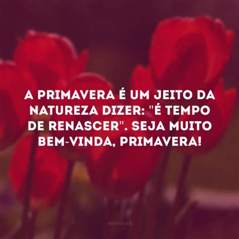 40 Frases De Bem Vinda Primavera Para Se Renovar Como As Flores