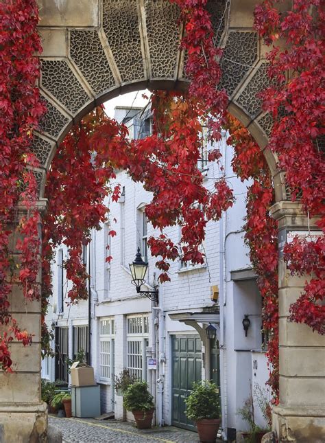 Kynance Mews London United Kingdom Citydays