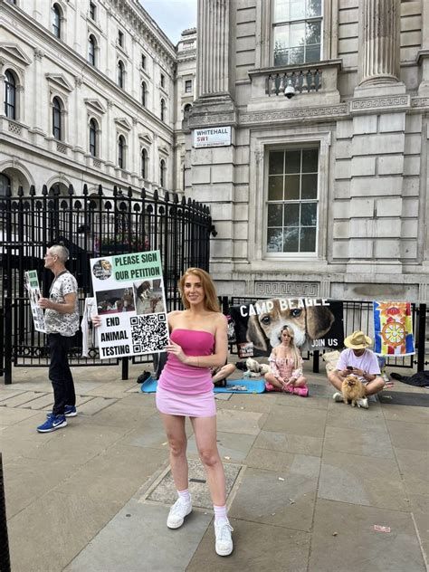 Camp Beagle Takes Protest To London To Raise Awareness The Camp Beagle