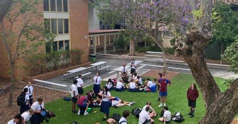 Wavell State High School: Tracing Back its Rich History - Wavell ...