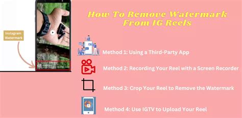 A Step By Step Guide For Instagram Reels Watermark Remover Dxdo