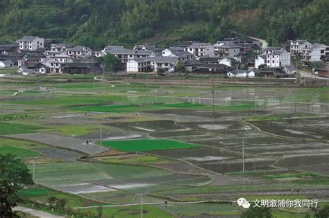 溆浦地｜从贫困村到明星村，坪溪村如何实现华丽转身的？