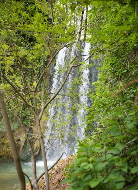 Premium Photo Beautiful Waterfall In Green Forest Among Trees