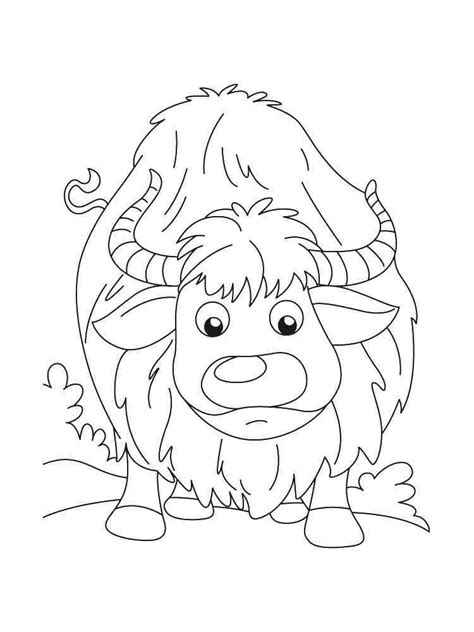 Yak Coloring Pages