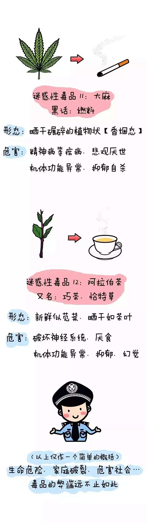 禁毒小知识你都知道吗