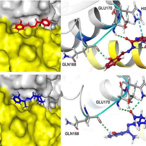 The Binding Site Interaction Of Hiv 1 Integrase With Most Active