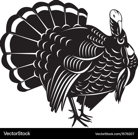 Wild turkey retro Royalty Free Vector Image - VectorStock