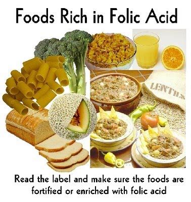 Some Foods that Contain Folic Acid in High|Beautiful Healthy Lifestyle