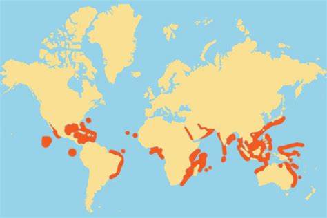 Ecosystems Of The Planet Diagram Quizlet