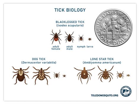 TICKS — Toledo Area Sanitary District