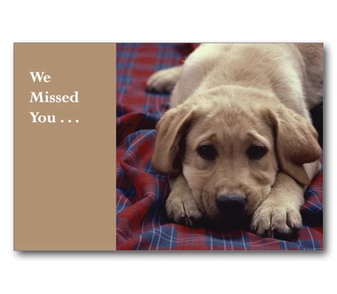 We Missed You Puppy Postcard (25/Pack) - Item: #70-561