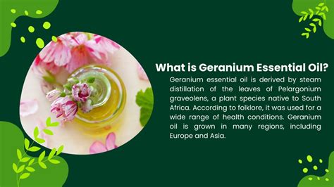 PPT All About Pure Geranium Essential Oil Glow PowerPoint