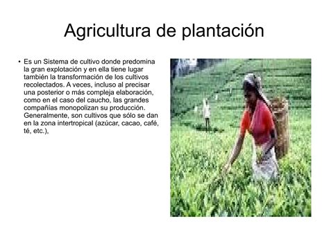 Paisajes Agrarios Ppt Descarga Gratuita