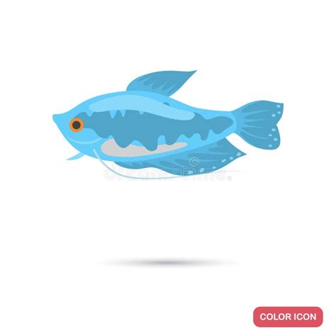 Icono Plano Del Color De Los Pescados Del Acuario Del Osphromemus