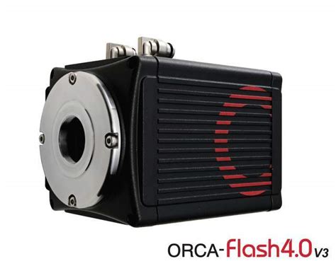 活细胞多色sim超分辨所用相机：orca Flash40 V3东方闪光（北京）光电科技有限公司