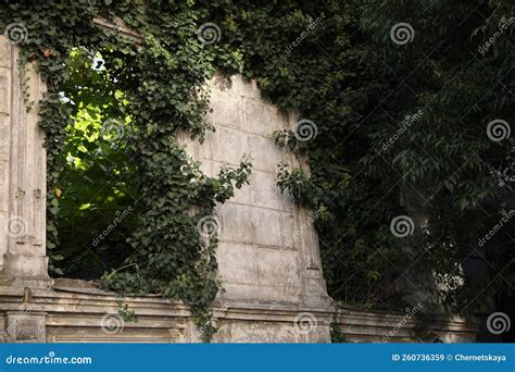 Old Abandoned Building Covered With Climber Plants Stock Image Image