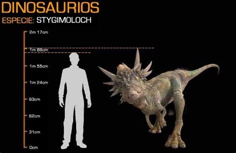 Stygimoloch Pictures & Facts - The Dinosaur Database