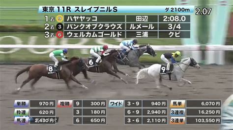 【619 スレイプニルsほか】東京ダイジェストjraレース結果 競馬予想動画