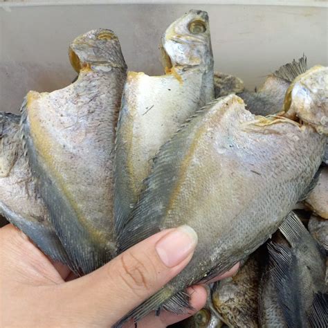 Jual Ikan Asin Sepat Siam Kecil 1kg Shopee Indonesia