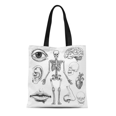 Ashleigh Canvas Tote Bag Human Biology Anatomy Engraved In Old Sketch