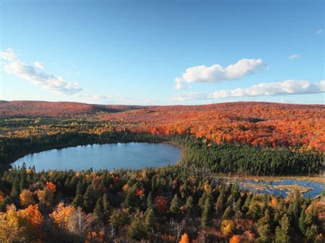 7 Of The Hottest Spots For Fall Colors In Mn Welter Heating