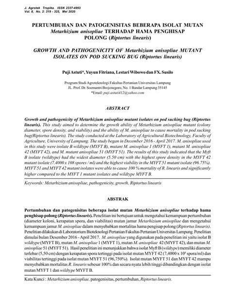 PDF PERTUMBUHAN DAN PATOGENISITAS BEBERAPA ISOLAT MUTAN Metarhizium