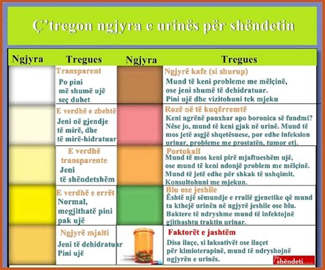 Tregon Ngjyra E Urin S P R Sh Ndetin Sipas Nj Gjinekologu Gazeta