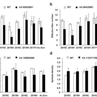 Average Phenotypic Values Of Wild Type Wt And Mutant Lines Carrying