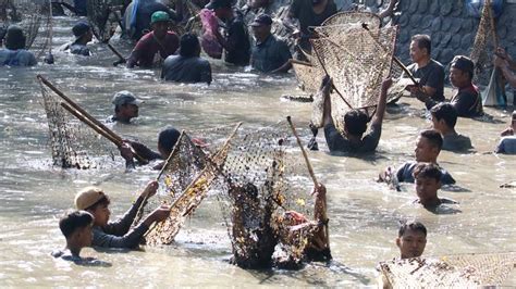 Keseruan Ratusan Warga Kediri Tangkap Ikan Saat Tradisi Grobyak Ikan