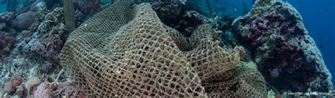 Saving Phu Quocs Coral Reefs Against Plastic Pollution And Ghost Gear