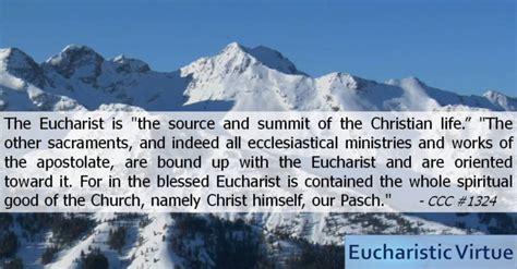 Daily Eucharist Quote - The Catechism - Eucharistic Virtue