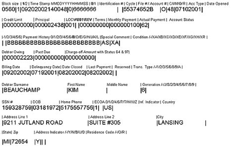 Metro Format Base Segment