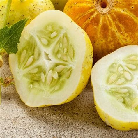 25 Best Lemon Cucumber Recipes | From Salads To Cocktails