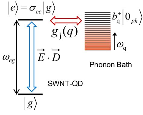 4 Qd Phonons Coupling Schematic View And Notations Used In The Text