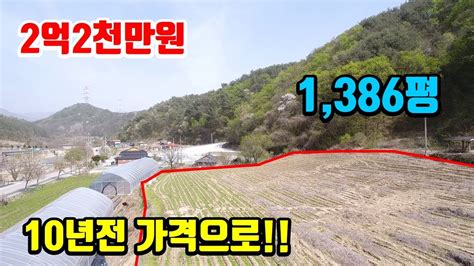 강원도싼땅매매 10년전 가격~ 평당 16만원 2차선 접한 건축가능한 토지 4584㎡ 1386평 8080 Youtube