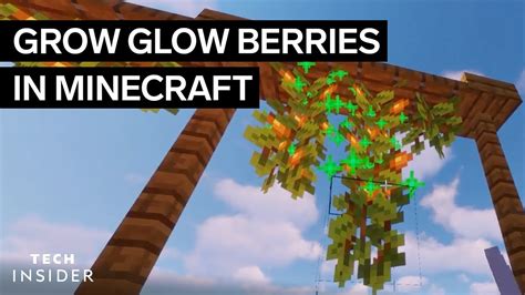 How To Grow Glow Berries In Minecraft YouTube