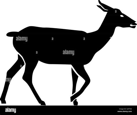 Doe deer Silhouette Stock Photo - Alamy