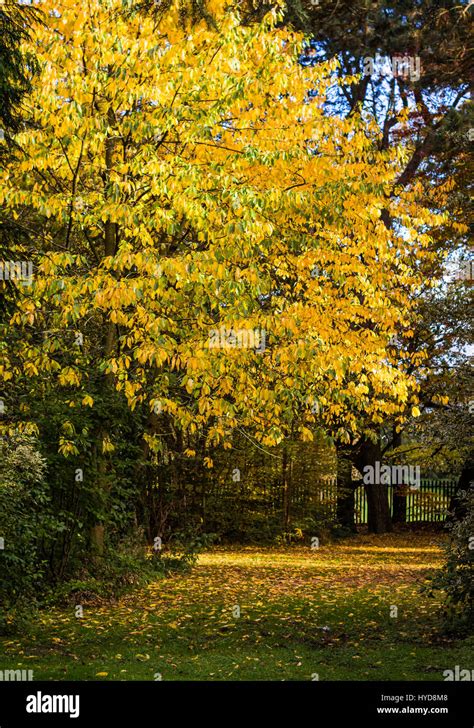 Ormeau Park Belfast Hi Res Stock Photography And Images Alamy