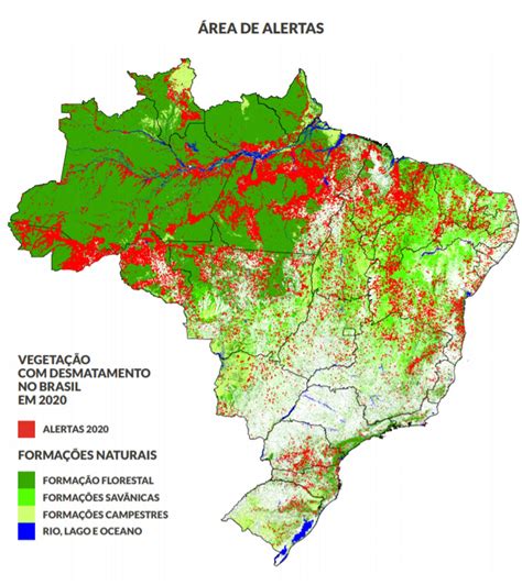 Relatório mostra que 99 8 dos desmatamentos no Brasil em 2020 foram