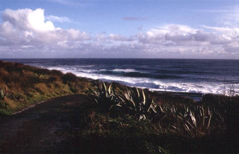 tropical island beach: French Southern and Antarctic Lands