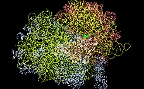 AlphaFold Protein