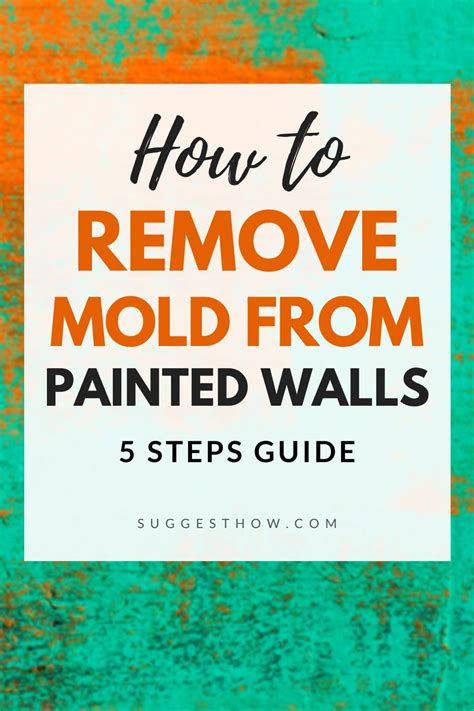 How To Remove Mold From Painted Walls Easy Ways