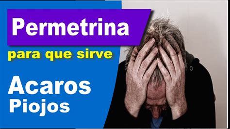 Permetrina Para Que Sirve Reacciones Acaros Piojos Escabiosi Youtube