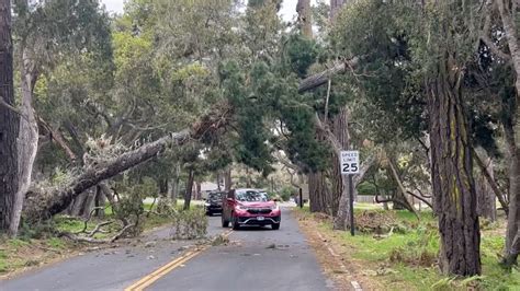 Strong Winds And Rain Topple California Trees Kyma