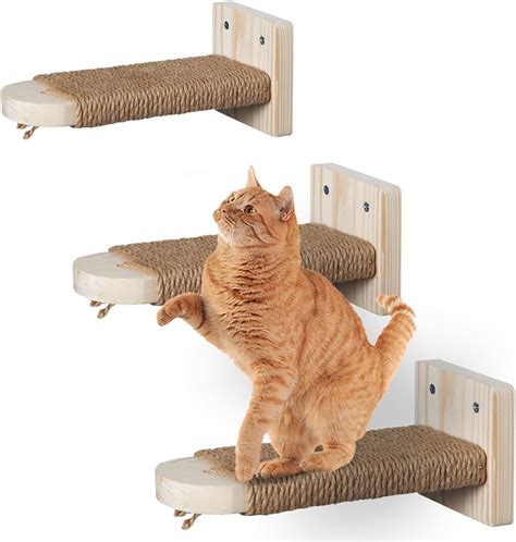 Cat Climbing Furnitures Market Size And Projection