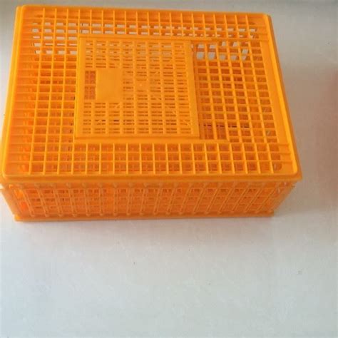 Live Chicken Poultry Carrier Crate Plastic Poultry Transport Crates