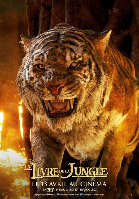 Affiche Du Film Le Livre De La Jungle Photo Sur Allocin