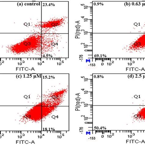 Flow Cytometry Analysis For Apoptosis Of Lncap Fgc Cells High