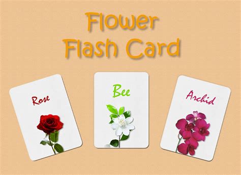 10+ Flash Card free psd template | Template Business PSD, Excel, Word, PDF